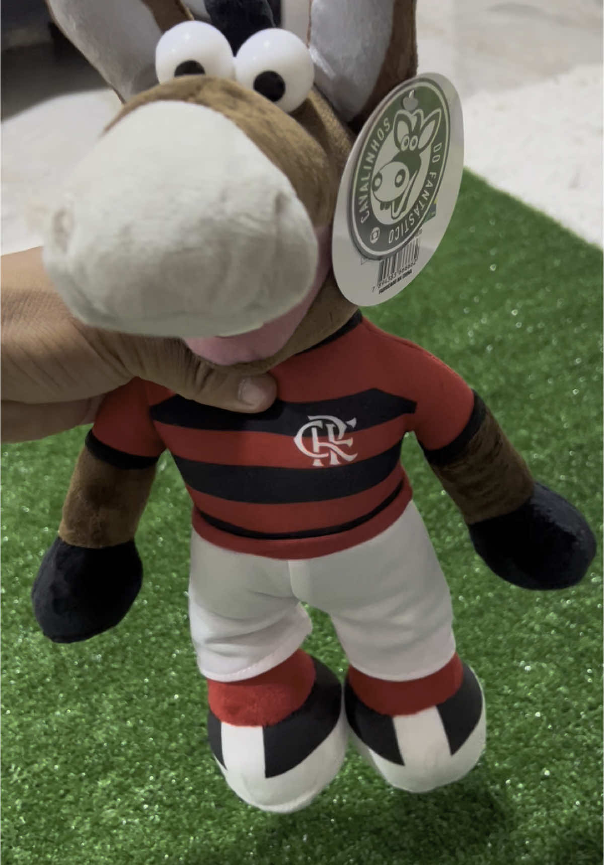 Cavalinho do @Flamengo oficial  #cavalinhos #cavalinhodoflamengo #cavalinhosdofantatico #bbb #futebol #mengao #fla #riodejaneiro #tbt 