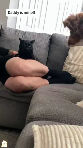 Dogs are jealous.😂🐕#dog #dogsoftiktok #dogs #funny #funnyvideos #funnyvideo 