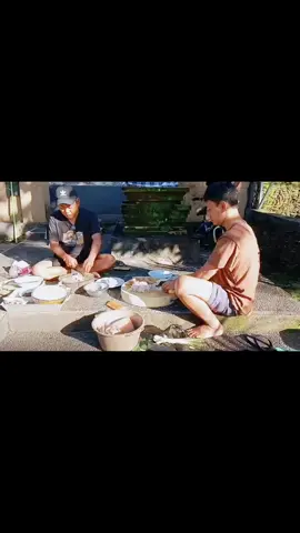 Rahajeng penampahan  galungan  #galungandankuningan  #fyppppppppppppppppppppppp 