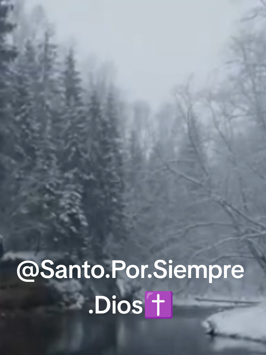 nunca mantenemos fuerzas para seguir adelante  #reflexiondelavida #reflexionescristianas #lavida #vision #exito #refleccionesdelavida #inspiracion #exitopersonal  #motivation #sabiduria 