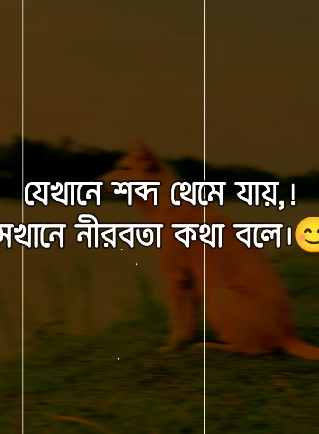 যেখানে শব্দ থেমে যায়, সেখানে নীরবতা কথা বলে।🌸 #itznazmul #tiktokbangladesh #growmyaccount #unfrezzmyaccount #tiktok @TikTok 
