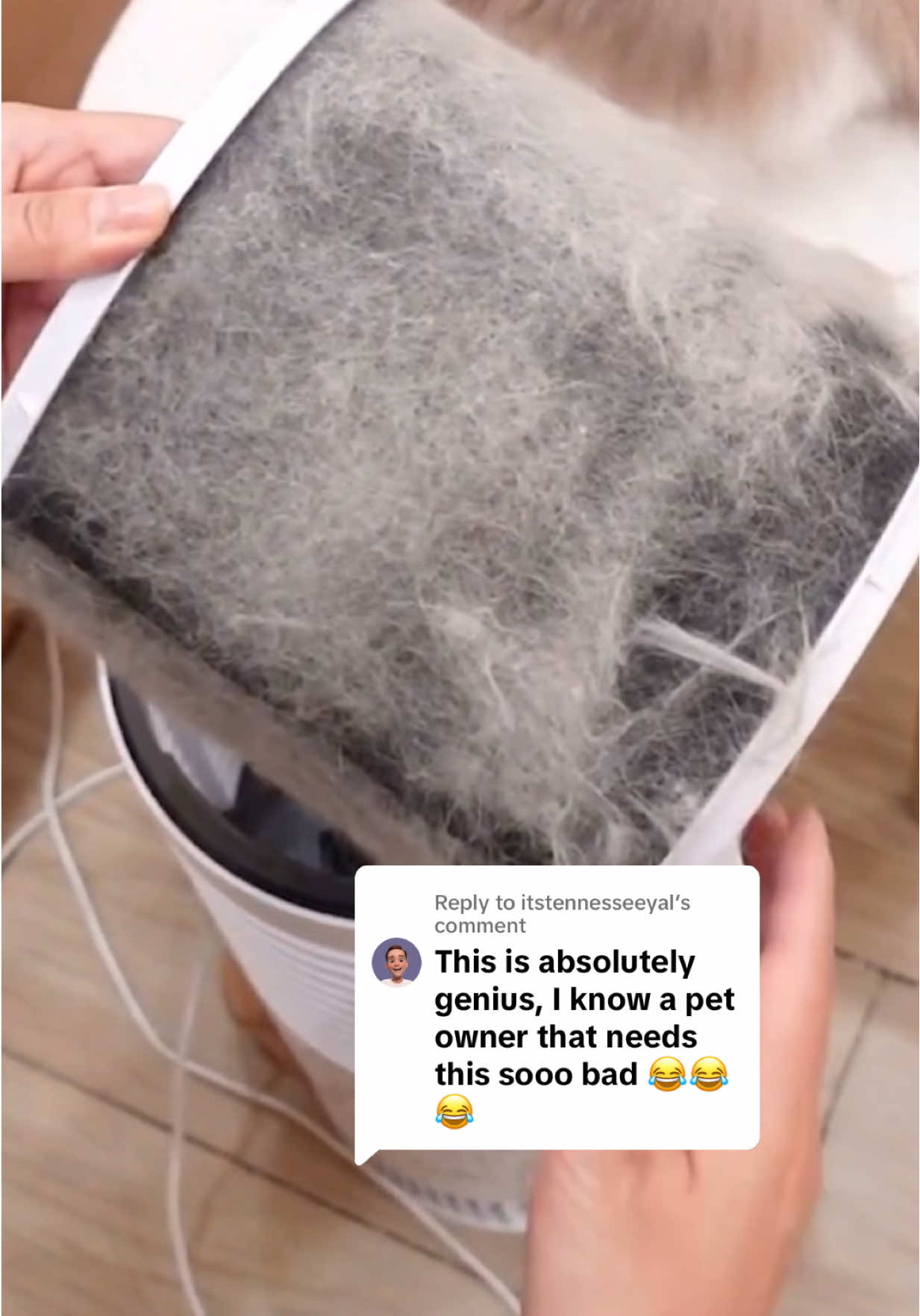 Replying to @itstennesseeyal I feel like my home smells like people and not a zoo 😂 #PetsOfTikTok #airpurifier #purify #pethair #petdander #allergies #hepafilter #oneisall 