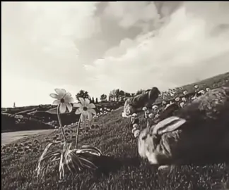 Entonces si fue real... #teletubbies #mystery #paratiiiiiiiiiiiiiiiiiiiiiiiiiiiiiii #Viral 