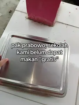tolongg pak☹️🙏🏻#smp #donggala #makangratisprabowo #makanbergizi #makangratis #prabowo #gibran #presiden #fypage #virall  btww itu makan gratis anak TK ya😁