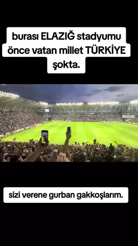 #elazığspor önce vatan millet#kesfetteyiz #keşfetartık #viraltiktok#öneçıkart #fypシ゚ #