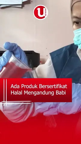 Badan Penyelenggara Jaminan Produk Halal (BPJPH) bersama Badan Pengawas Obat dan Makanan (BPOM) mengumumkan temuan serius terkait pelanggaran dalam pencantuman kandungan bahan pangan pada produk olahan. Sebanyak sembilan batch produk pangan diketahui mengandung unsur babi, namun tidak mencantumkan informasi tersebut dalam kemasannya. Temuan ini menimbulkan keresahan di tengah masyarakat, terutama bagi konsumen Muslim yang memiliki kewajiban untuk menghindari produk non-halal. 