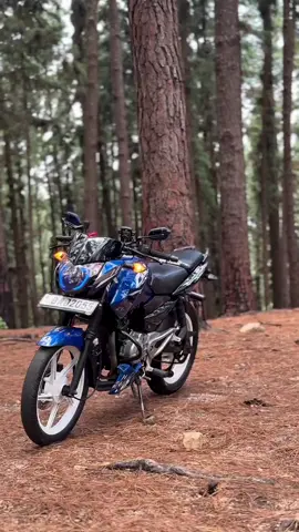 කලකදි රසවෙන්නේ කලකදි වස 😈🖤 #pulsar #135ls #goviral #trending #fyyyyyyyyyyyyyyyy #kandy #modified 