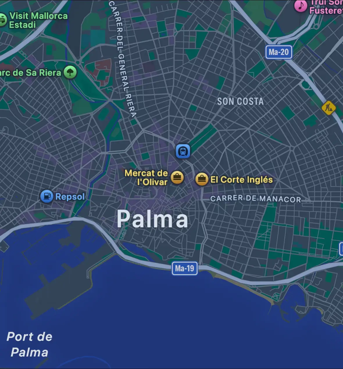 🤍🌺#fyp #palma