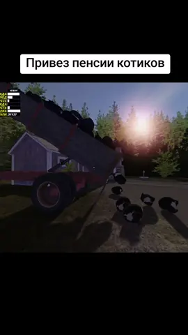 Думаю ей понравится#кот #maxweel #mysummercar ##