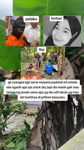 #sitiamelia #mulyana #hamil #viral #viralvideo #masukberandafyp #fyp 