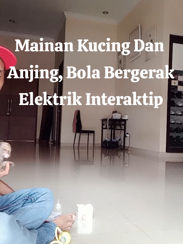 Biar Kucing kita Ga Bette Di Rumah, Ada Solusinya!!!  #mainakucingdananjing #mainankucingelektrikbola #solusinya #kucingbetah #kucinggabetahdirumah #Bisa Di CO di keranjang 💛