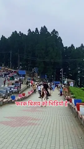 इलाम#sijanchamlingrai1 #creatorsearchinsights #ConSantanderConecto #comedyvideo #fyppppppppppppppppppppppp 