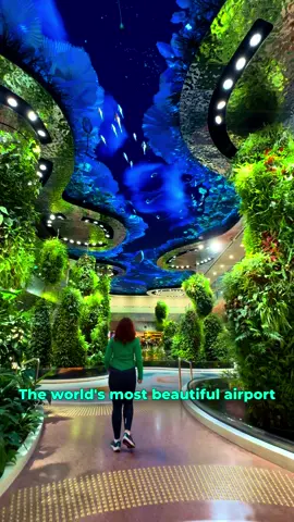 Singapore Changi Airport has once again been named the World’s Best Airport in the 2025 Skytrax World Airport Awards – reclaiming the title for a record 13th time ✈️🏆 This comes as little surprise, as the airport is famously known for its stunning architecture, top-tier dining options and high-end retail experiences ✈️ #singapore #airport #visitsingapore #asia #plane @singaporeforeveryone