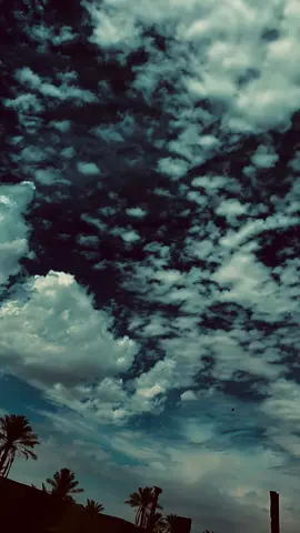 شحلاته من رجع سالم بيده راس ابن غانم✨😔#CapCut #ستوريات_انستا #تصويري_احترافي_الاجواء👌🏻🕊😴 #تصويري📸 #fyp #كسبلور_explor #لايك #تصويري #غيوم_لطيفه #