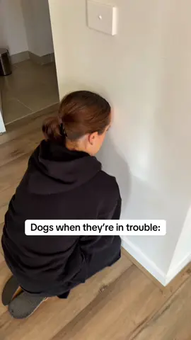 You can’t stay mad at them when they have the puppy eyes 😭 #relatable #funny #pet #dog #fyp #viral #comedy #skit #puppy #pets 