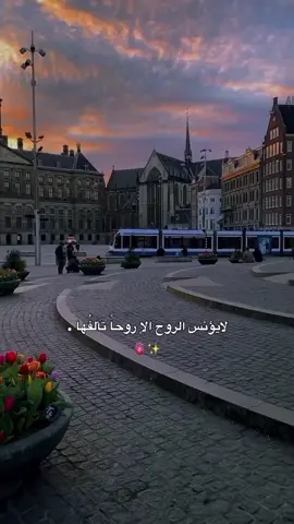 ♥️💫