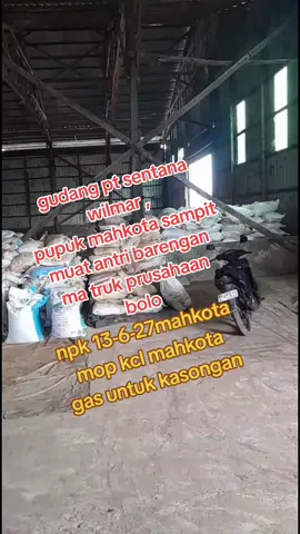 #pupuk mahkota PT Sentana  WILMAR terbaik #fypシ゚ #sahabat89 #hidayattani 