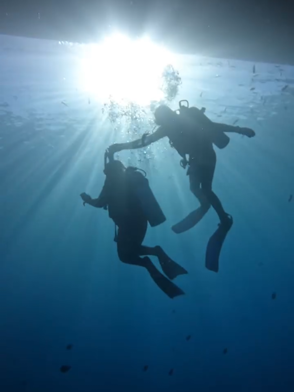 😜 #dive #diving #femalediver #schubagirl #scubagirls #girl #girls  #scubadiving #padi #redsea #Egypt #hurghada_الغردقه #buddy #divebuddy #divebuddies #fun #tauchen #taucherin #taucher #rotesmeer #ägypten #sea #meer #vitaminsea #vitaminsea🌊 #scubatiktok #cressi #gopro #gopro10 