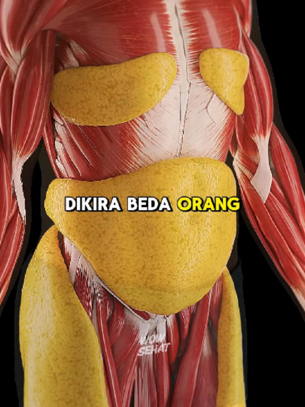 Manfaat konsumsi kalon tea selama 1 bulan #tipssehat #infokesehatan #makanansehat #minumansehat #kalontea 