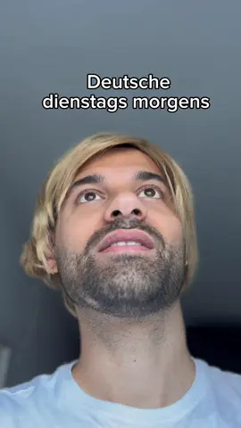 #ausländer #deutsche #comedyvideo #satire 