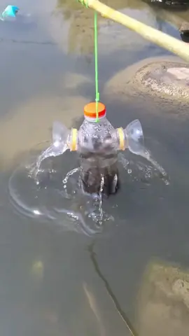 Made a simple DIY fishing tool and caught this much with no sweat! #creative #fishing #invention #goodideas #clever #handmade #amazingChinesepeople #havefun #interesting #enjoy #share Credit to 26761391303 on Rednote.