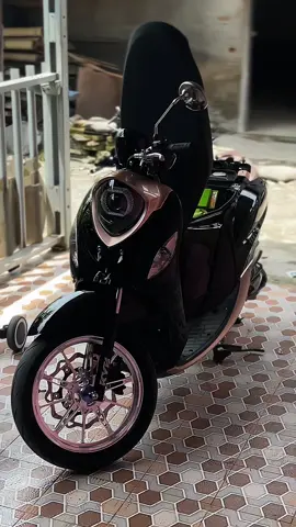 🤙🏻🖤#fino125 #fino125fams #fino125🚀 