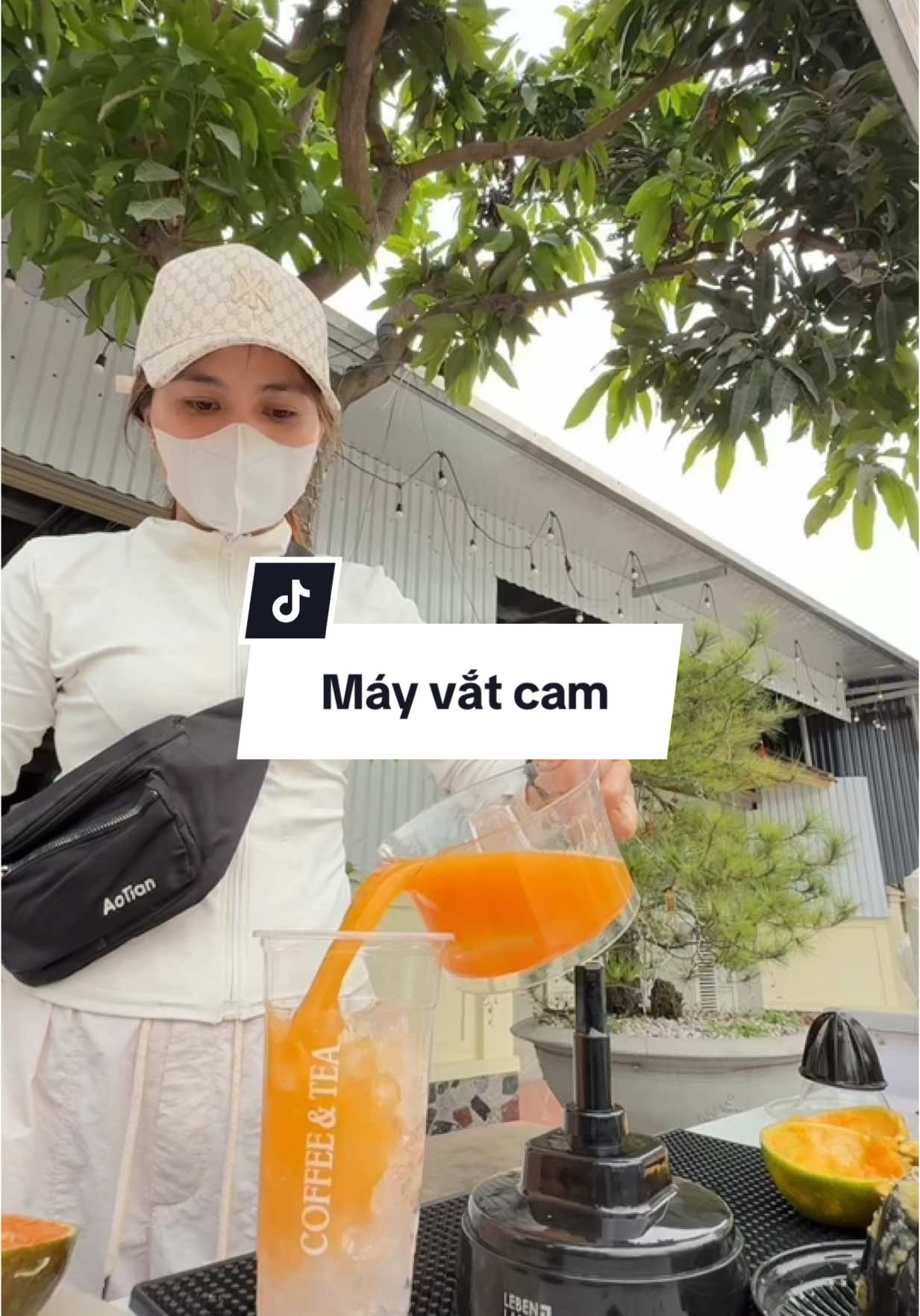 Máy vắt cam mini rất tiện dụng trong các gia đình và các quán nước #caphetakeaway #mayvatcam #camep 