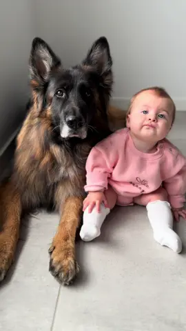 That’s my bestie #dogsandbabies #germanshepherd 