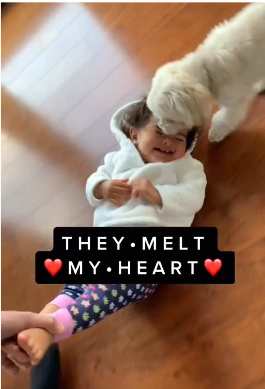 Dogs are the best playmates for children ❤️#dog #baby #Love #bestfriend #pets #funny #dogsoftiktok #foryou #usa🇺🇸 