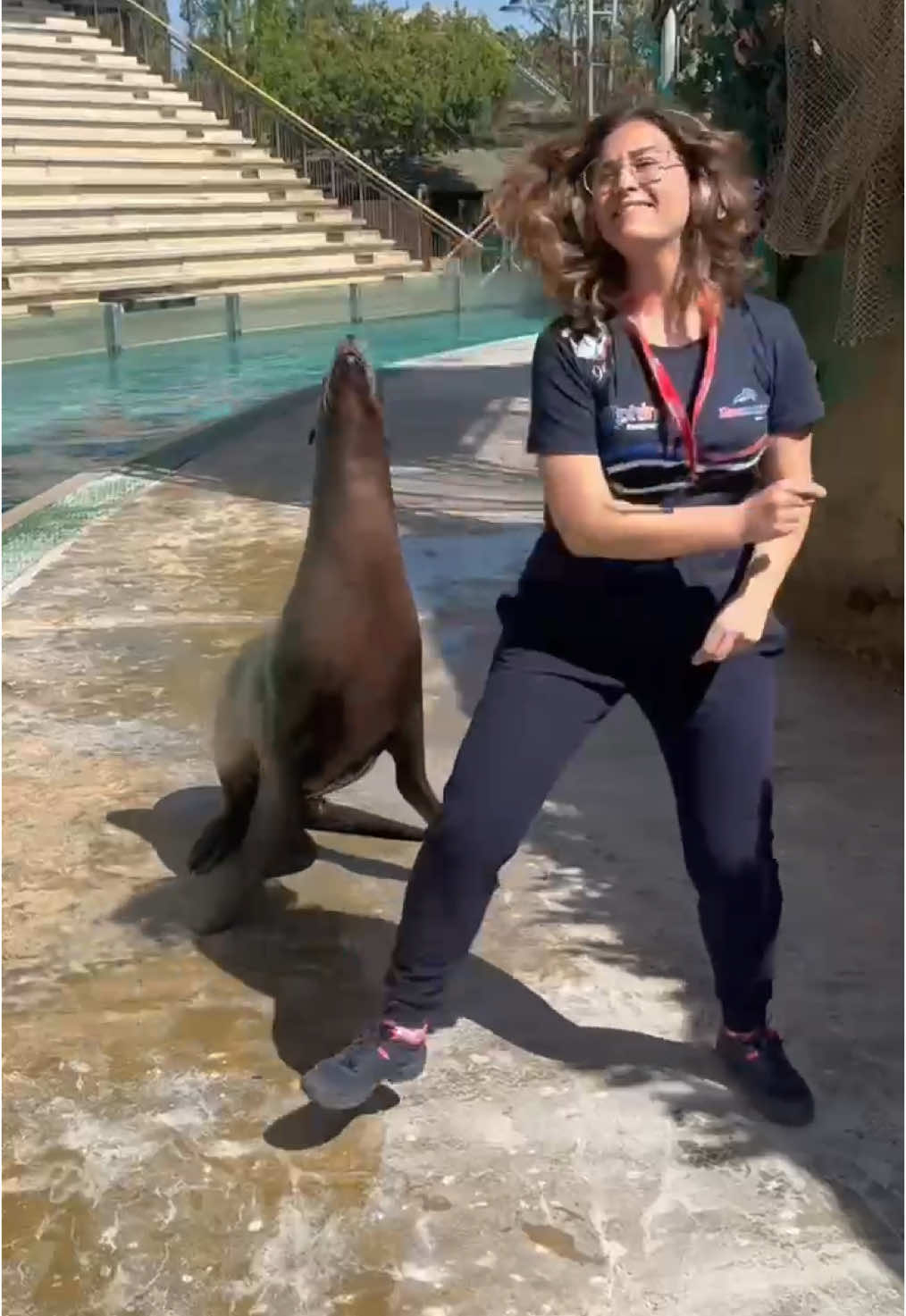 Quando passi da Zoomarine e finisci su TikTok con più swag di Will Smith. #pyf #smh #foryour #foryourepage #zoomarineroma #zoomarine #sealion #TikTokItalia  #SeaLionDance #AnimaliDivertenti  #SwagMarino #Estate2025  #zoo #FunnyAnimals 