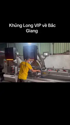 Khủng Long  về Thành Phố Bắc Giang  Con máy cắt 2 đầu bán chạy nhất tại Gopco  Phiên bản 2025 bao xịn , bao chất  Nhập khẩu nguyên con hãng Weike  - cắt bản thủy lực 24-25 phân  - có thước tự động đo chiều cao , pittong đỡ phôi tự động  - kẹp tách phôi tự động chống nổ nhôm  - lưỡi 550 kim cương cắt khít đét như nhôm Hàn  Em bán 10.000 con cả nước thương hiệu Weike . Dùng là mê chạy là phê  Nhung Gopco ; 0784530000 trùm máy nhôm kính cao cấp#nhunggopco #phaydo #phaydocatbung #phaydoweike #maycatnhom2daugopco #xuhuongtiktok 