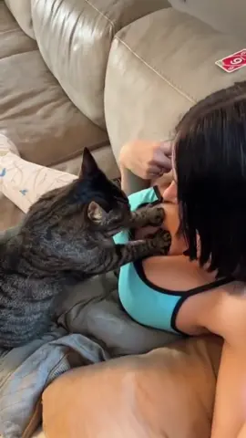 Cats can understand English #cat #funnycat #funny #funnyvideo #funnyvideos #funnytiktok #foryour #catsoftiktok #tiktokcats #tiktok #funnycats #foryou 