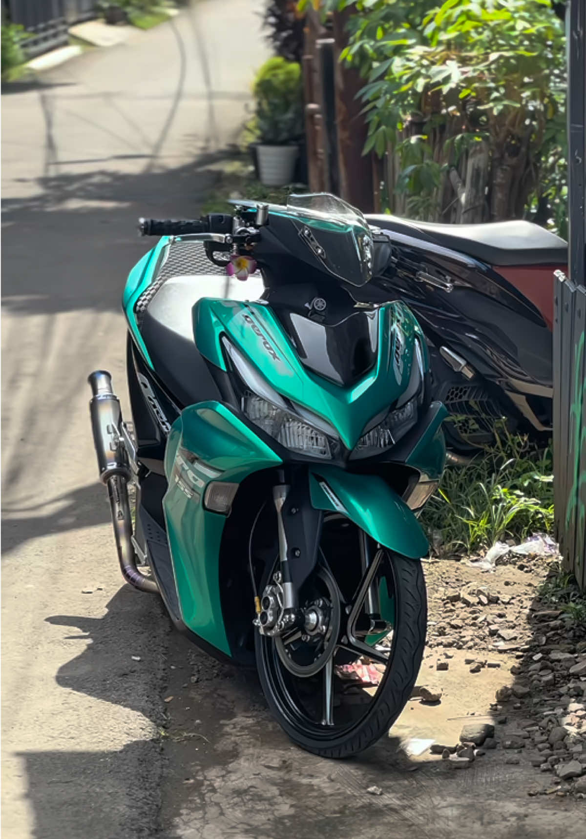ganteng tapi bosen #aerox155 