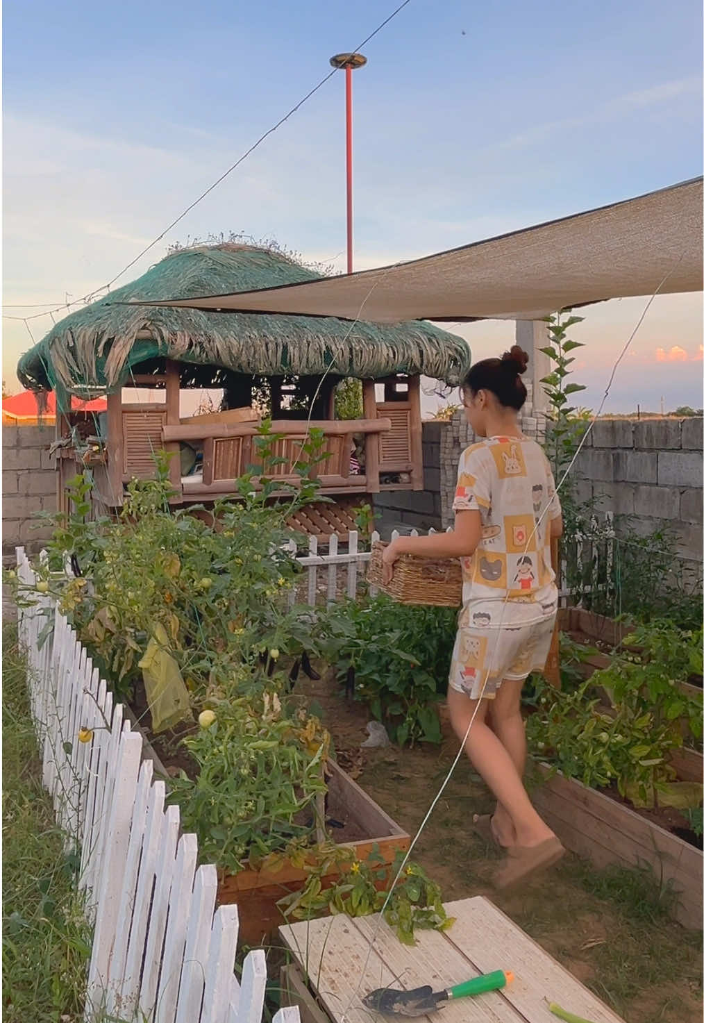 Garden Diaries 🌱 harvesting eggplants and stringbeans, watering our plants 💦 #dailyvlog #dayinalife #provincelife #harvest #garden #cozyhome #ghibli #minivlog 