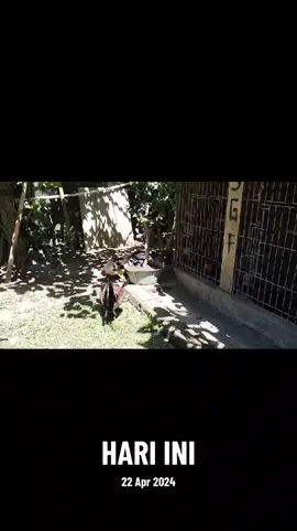#padahariini