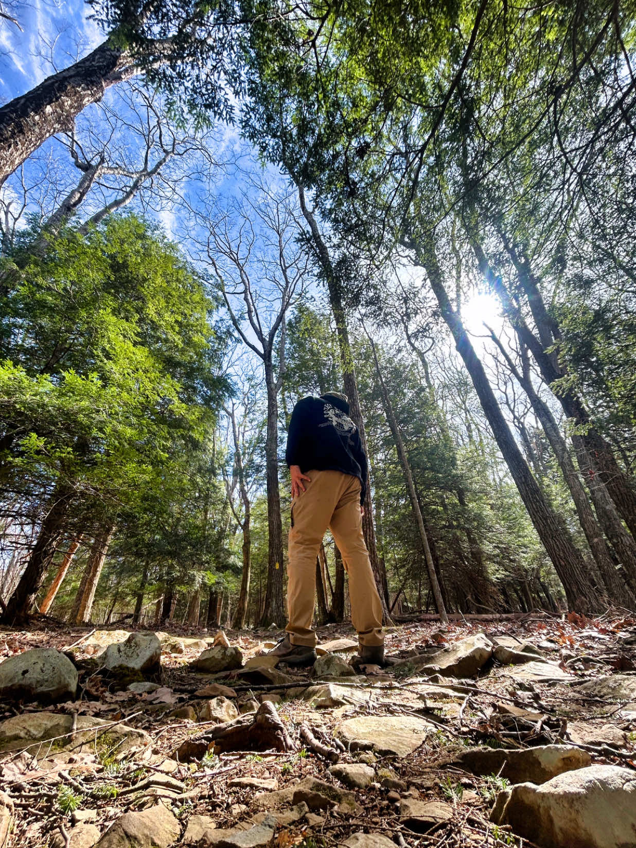 This Earth Day, Take a stand. Speak up. Protect Our Planet. #nature #Outdoors #trees #mountains #animals #earthday  Inspo: @wild_otterie 