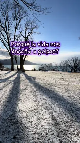 #cazzu #parati #videoviral #reiniciar 