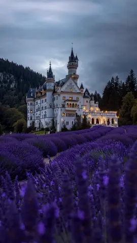 A dream castle surrounded by lavender . . . . . . . . . . . . . . #midjourney #mansion #bedroomdesign #interior #diseñointeriores #mariadudkina #luxuryinteriors #homedesign #houses #white #castle 
