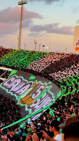 #الاهلي_عشق_لا_ينتهي💚💚💚💚💚💚🤍🤍🤍🤍🤍🤍🤍 #رياضية💪⚽✨ #طرابلس_ليبيا🇱🇾 #سوق_الجمعة_تاجوراء_عين_زارة💪🇱🇾 #شعب_الصيني_ماله_حل😂😂 #CapCut 