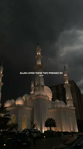 #fypp #fpyシ #fyp #foryoupage❤️❤️ #tik_tok #muslimah #islamic_video #CapCut 