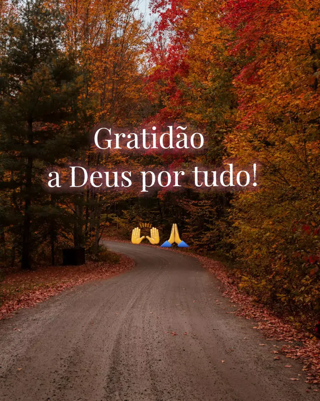 #frasesmotivadoras #mensagemdegratidão #motivacao #foru #Status_gratidão 
