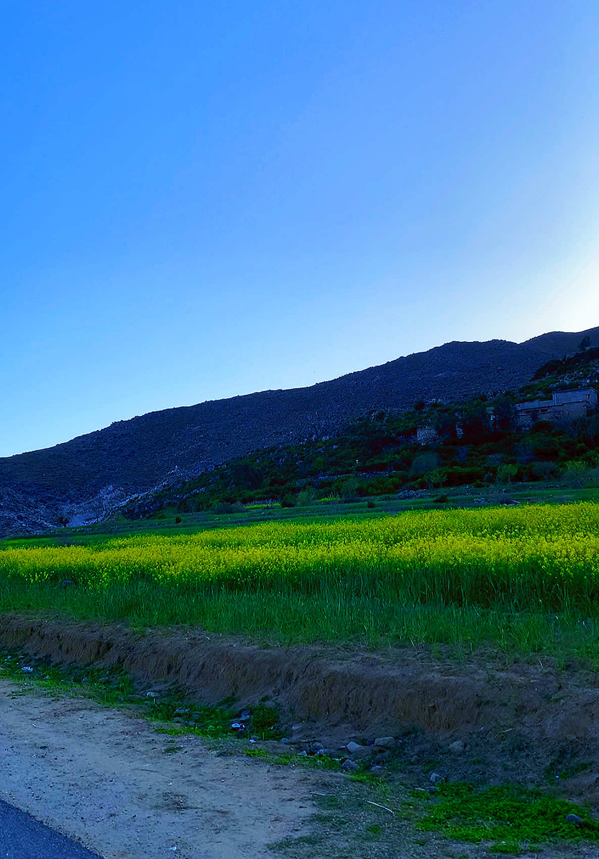 باجوڑ تنگئی شاہ گڑیگال #خوبصورت۔باجوڑ #باجوڑگلونہ #باجوڑ #bajaur #bajaur #viral #foryou #nature #kpk #fypُ #spring 