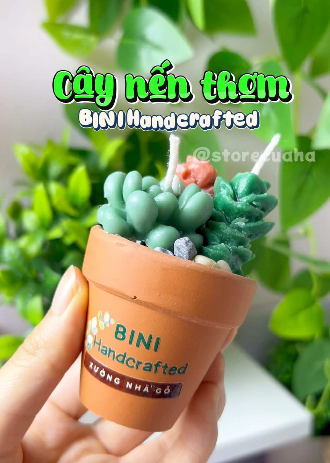 Chiếc nến thơm hình chậu sen đá đẹp mê cho các bà làm quà tặng nè #binihandcrafted #nến_thơm #trangtriphongngu #hoasap #hoasapthom #senda #review #storecuaha #unbox 