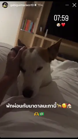 #วันนี้ในอดีต #ปีนี้ยังไม่ได้พักเลยยัยจิ๋ว