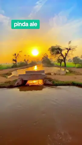 #fyppppppppppppppppppppppp #viralvideo2025_💯tiktok🤘😘😘💯 #viralvideo2025_💯tiktok🤘😘😘💯🥀 #viewsproblem💔😔 # pinda ale # effect trending 