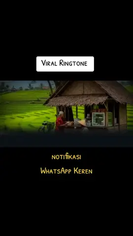 viral ringtone WhatsApp 2025 #nadapesanwaviral #notifwalucuviraltiktok #nadapanggilanmasuk 