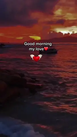 #goodmorning #iloveyou #Relationship #lovestory #qoutes #missyou #fy 