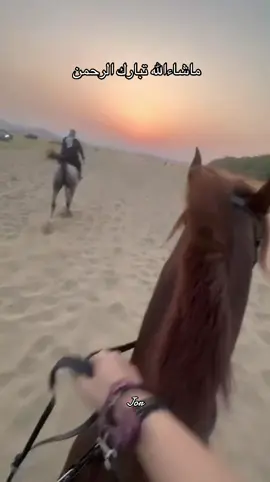 @Sara7🐎 المدلعين 🦦#explore #JR #viral #efectoboomerang #trendingtiktok #اكسبلور #trending 