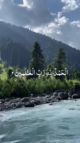 Surah Fatiha Recitation #foryoupage #growmyaccount #growmyaccount #quranrecitation #foryoupage @tiktokcreaters #tiktok  #holy Quran #Quran #fyp