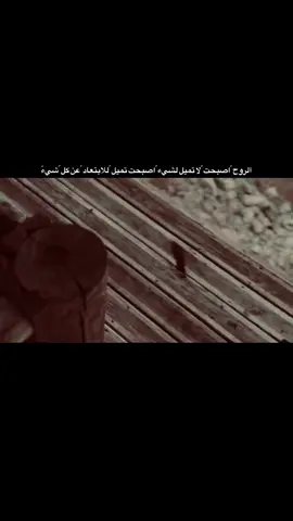 #الحمدالله_على_كل_حال_دائمآ_وأبدآ 